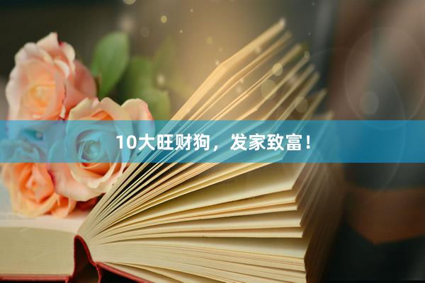 10大旺财狗，发家致富！